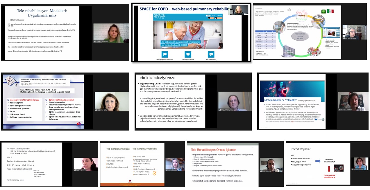 Türk Toraks Derneği Pulmoner Rehabilitasyon ve Kronik Bakım Çalışma Grubu 