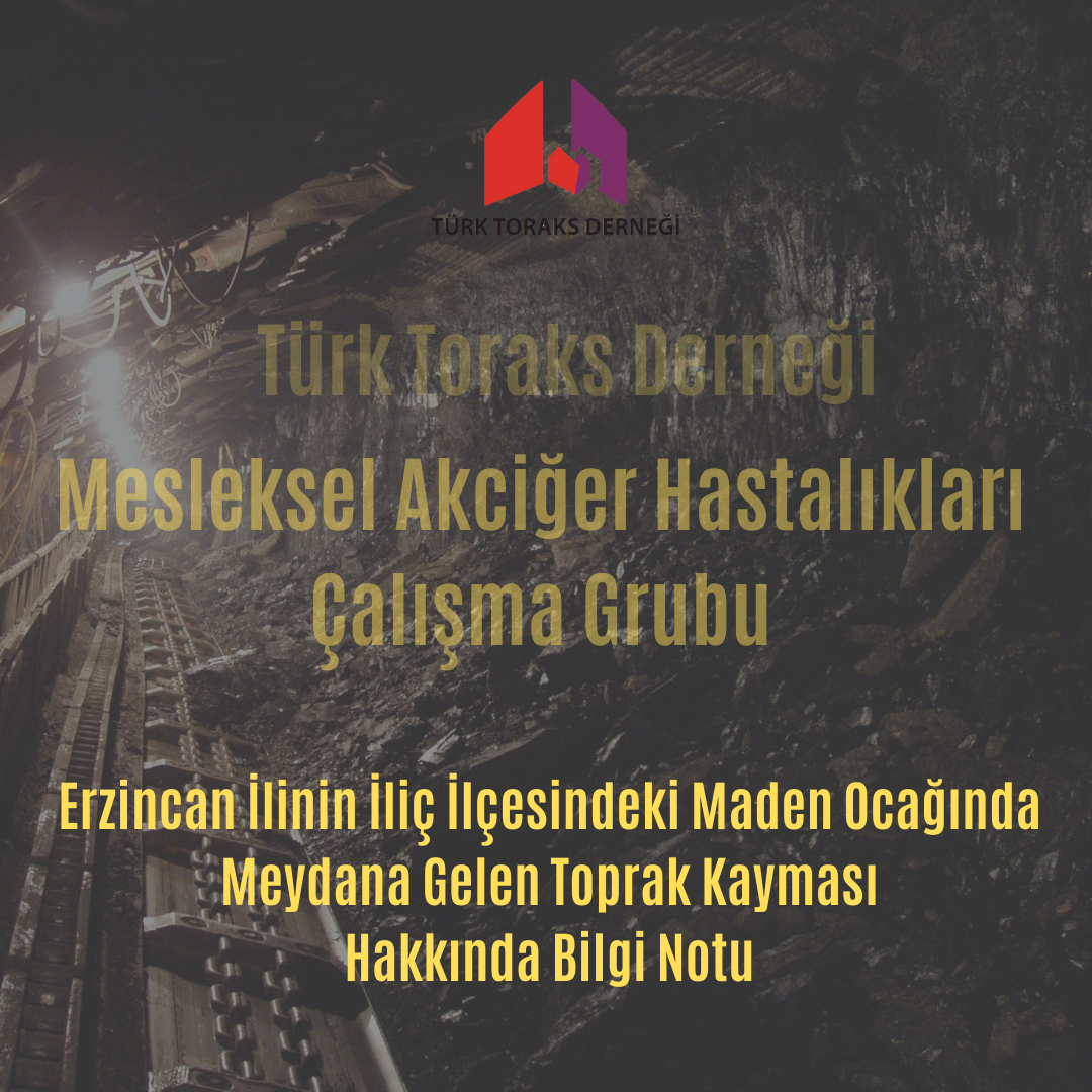 Türk Toraks Derneği Mesleksel Akciğer Hastalıkları Çalışma Grubu 